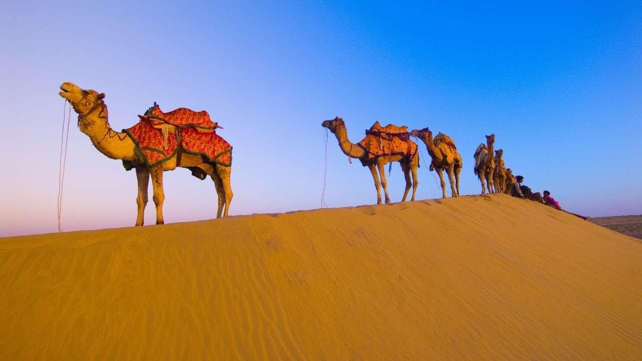 Camel Trekking Dubai Desert – Desert Safari Dubai