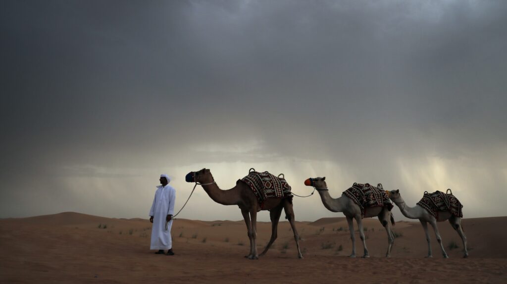 What to Expect in Dubai Desert Safari?