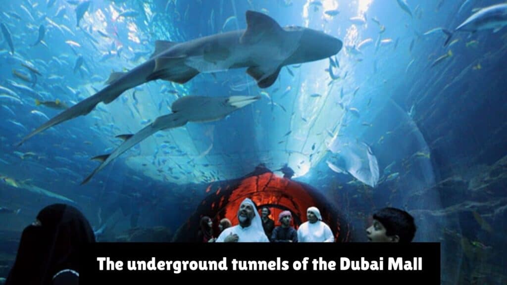 The underground tunnels of the Dubai Mall