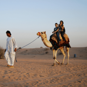 A Complete Guide to Dubai Desert Rides