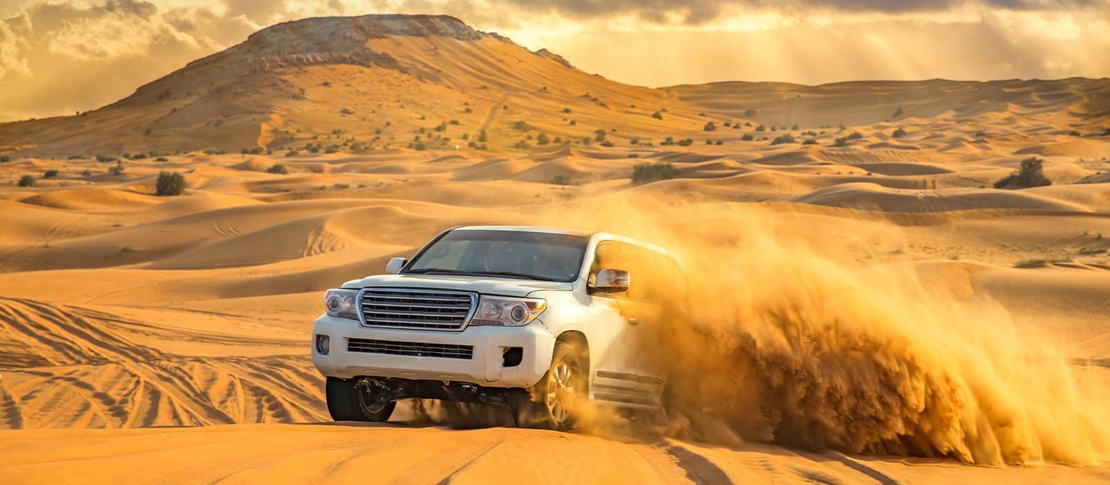 Desert-Safari