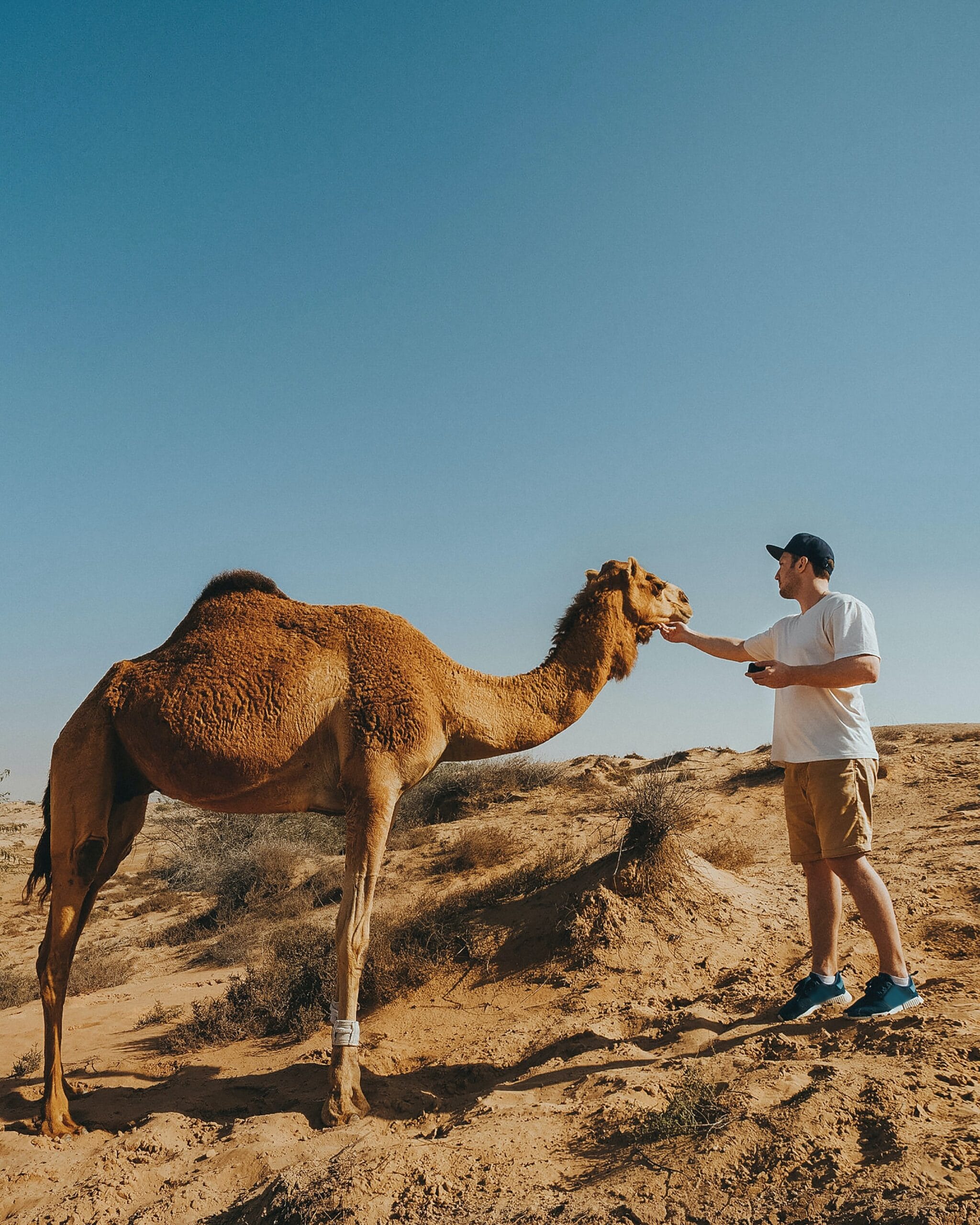 pexels-max-avans-5087026