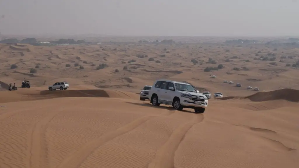 desert-safari