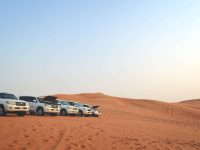 FAQ: Everything You Need to Know About Desert Safaris