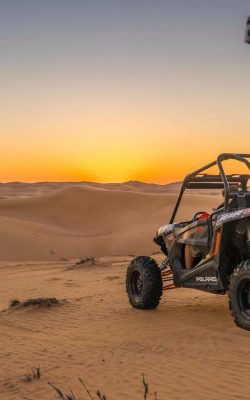 dune-buggy-experience