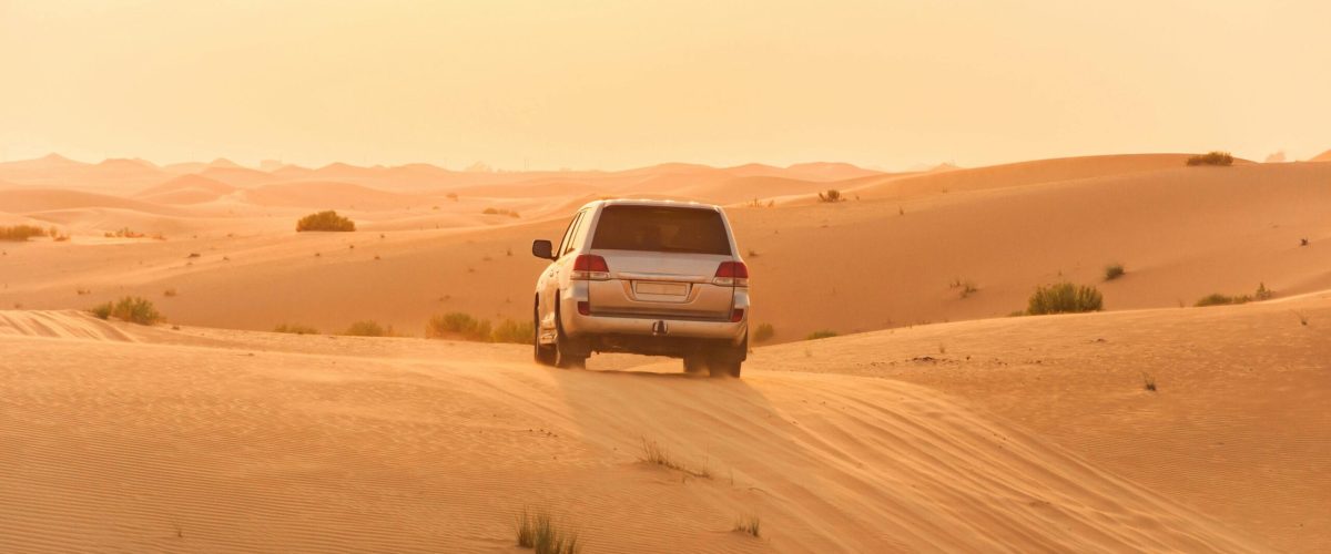 pexels-sergo-karakozov-995851-3684847 desert-safari-private